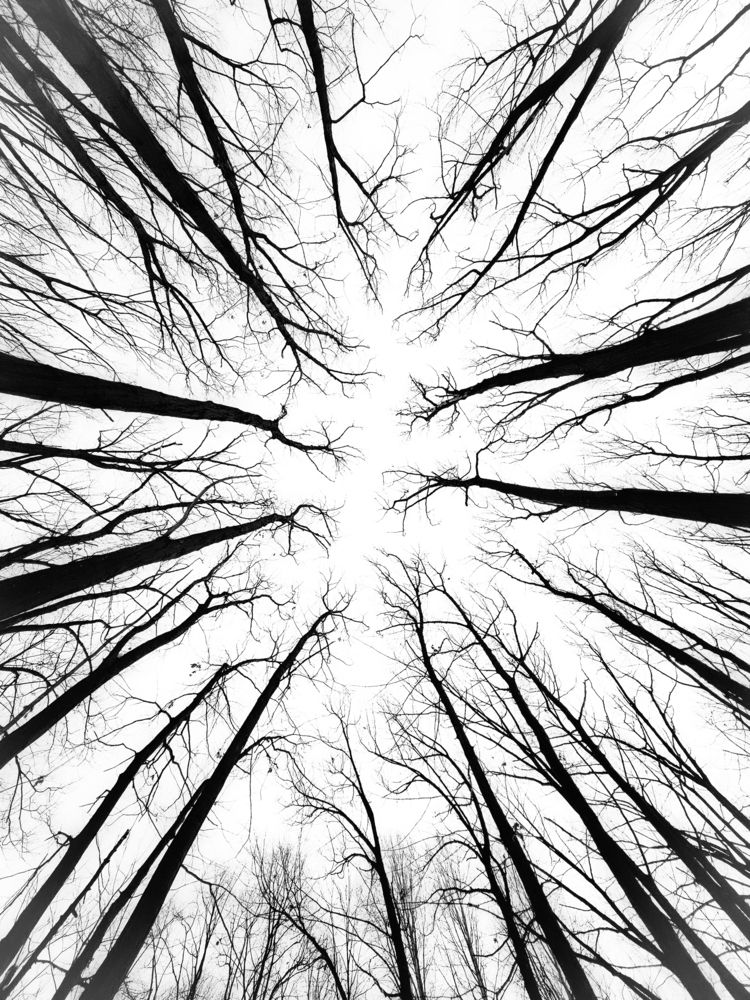 Photograph by Сергей Кесаев