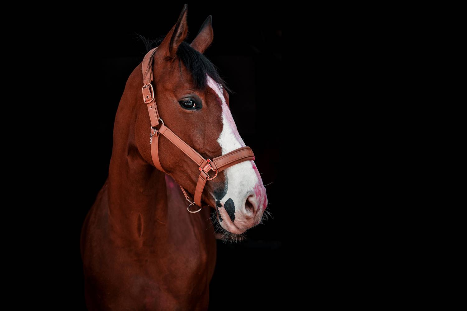 Фотография #13327620