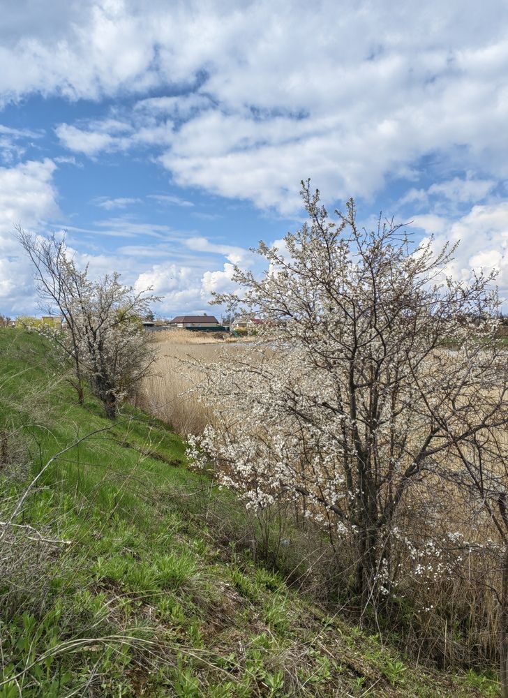 Photograph by Ульяна Кузьмина