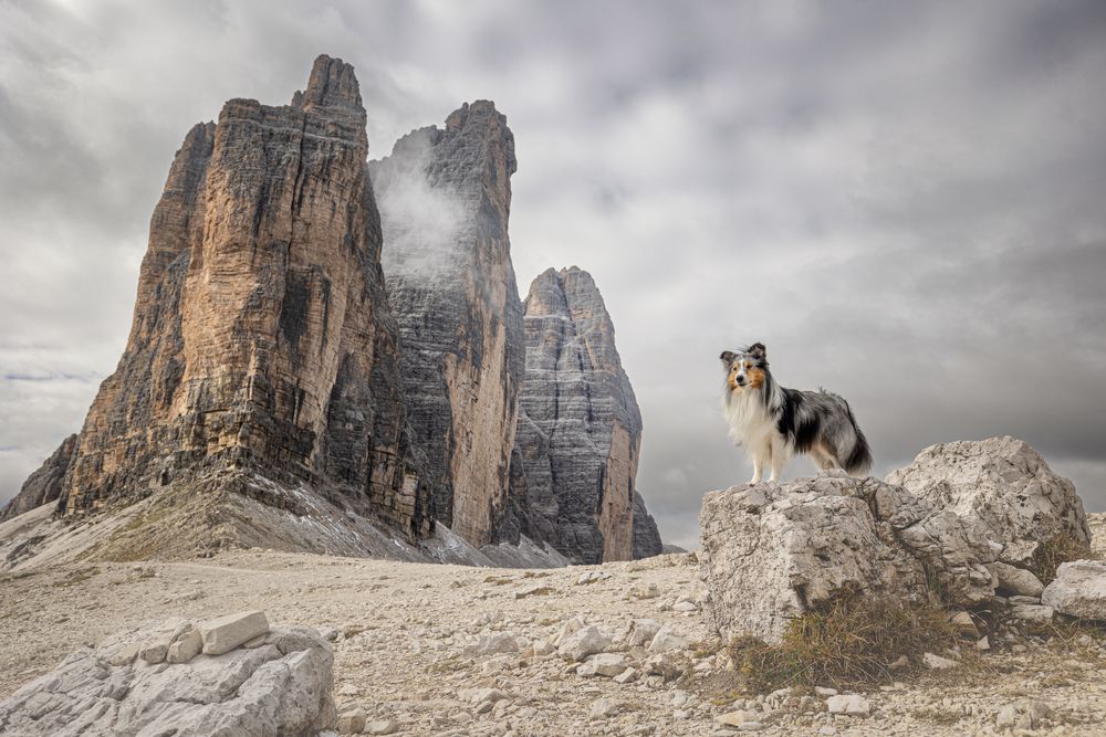 Photograph by Daniela Schmid