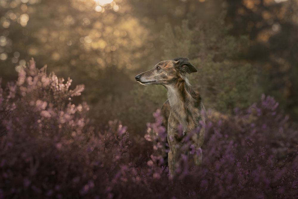 Photograph by Daniela Schmid