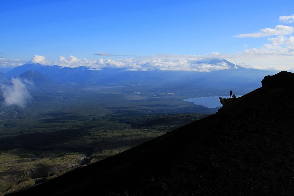 Photo #13327649