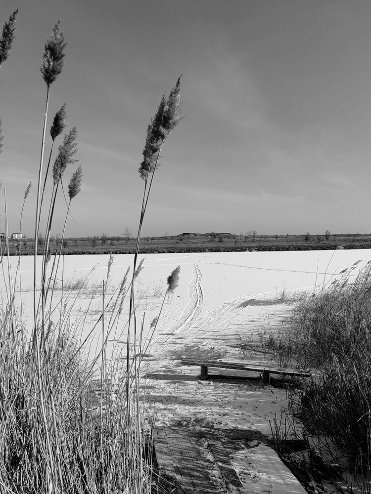 Photograph by Ульяна Кузьмина