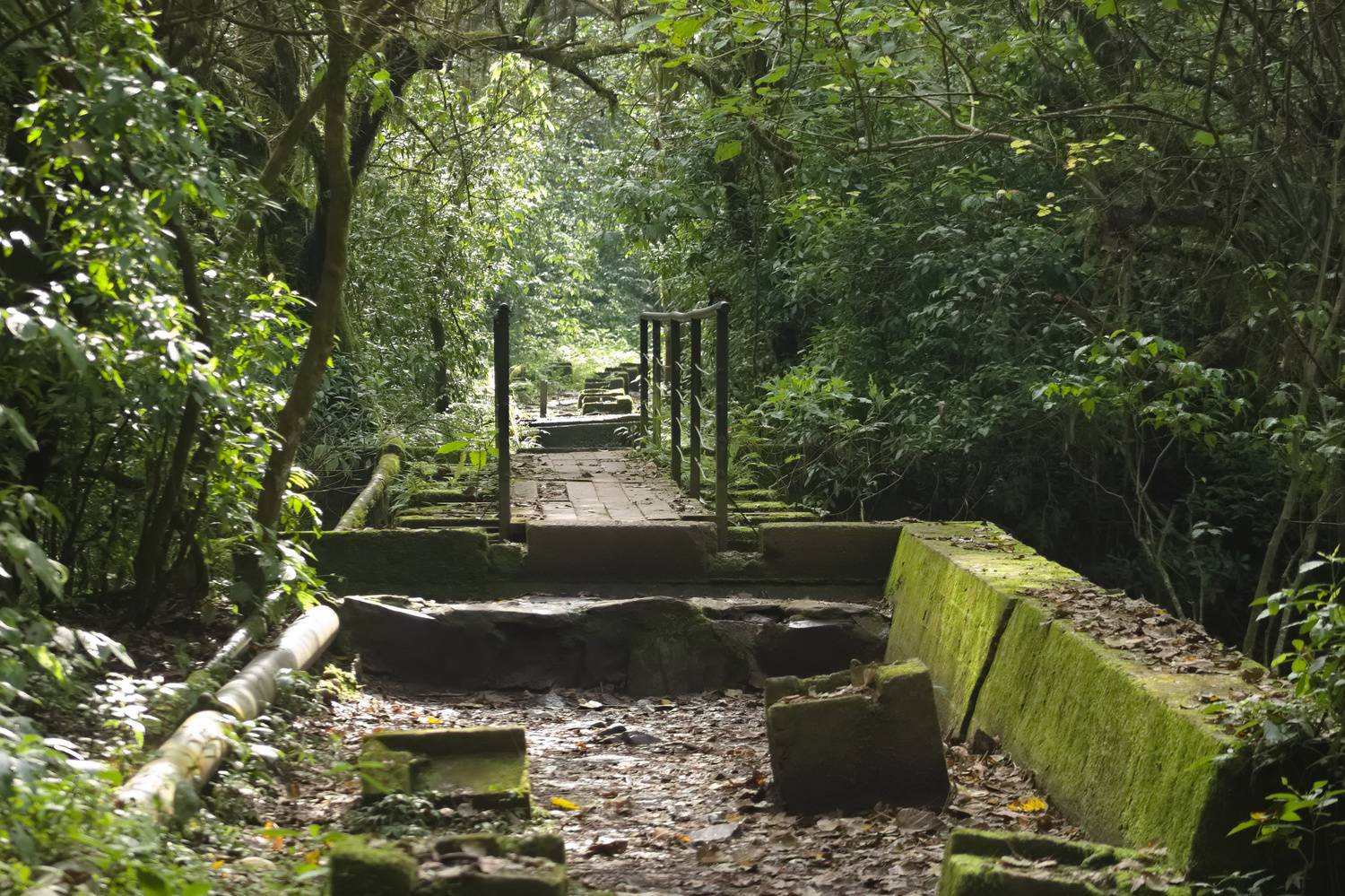 Puente de un sendero de Horco Molle