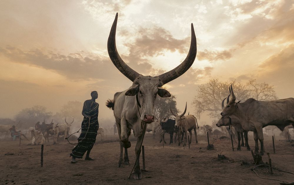 Photograph by Michel Pedrero Rubio