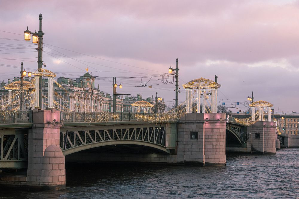 Фотография автора Елена Гусева