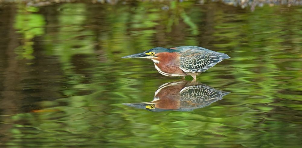 Photograph by Armin Brockner