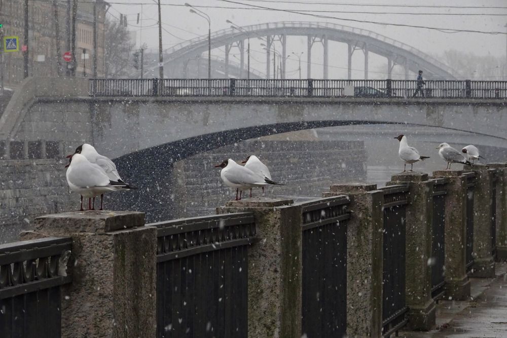 Американские мосты