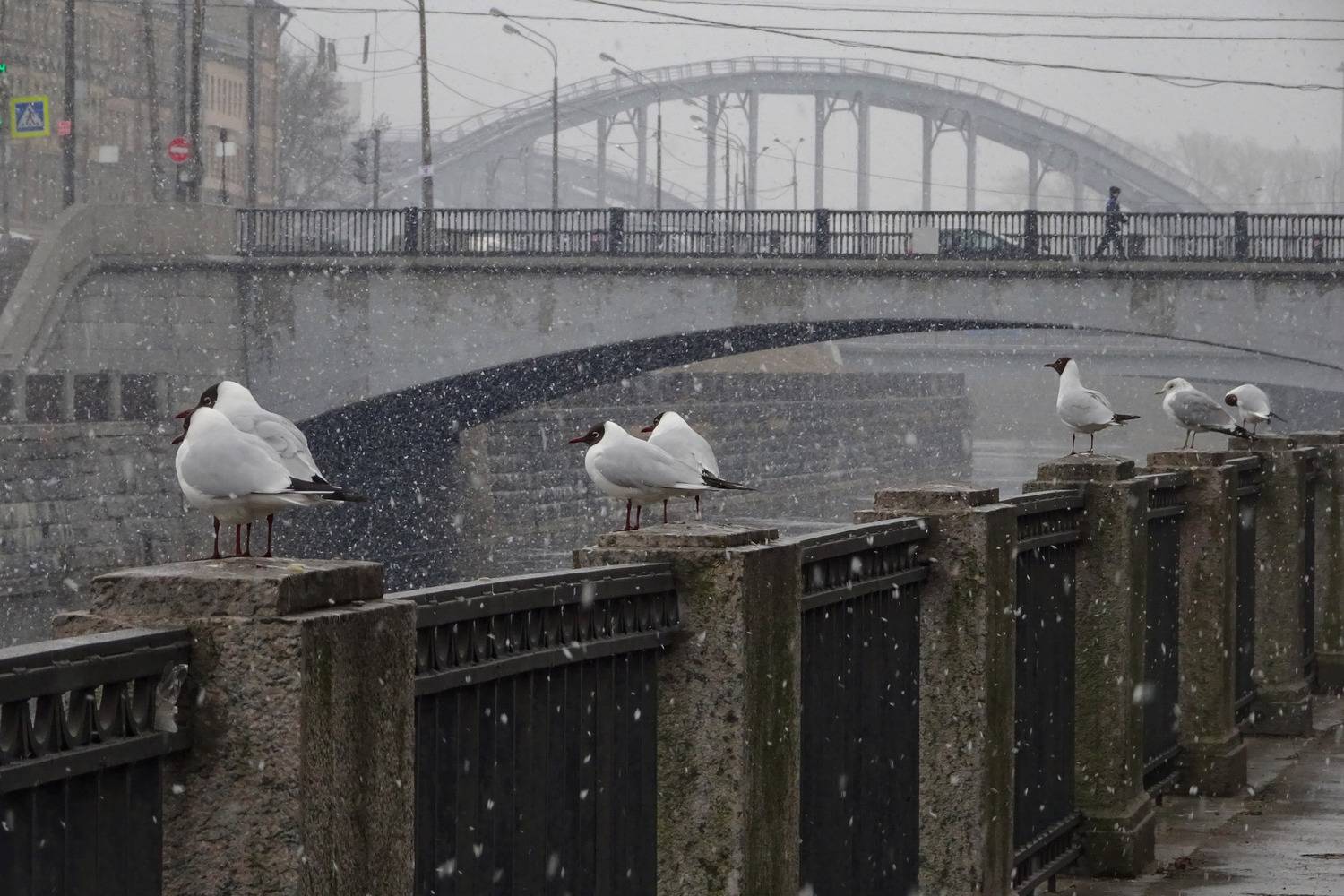 Американские мосты