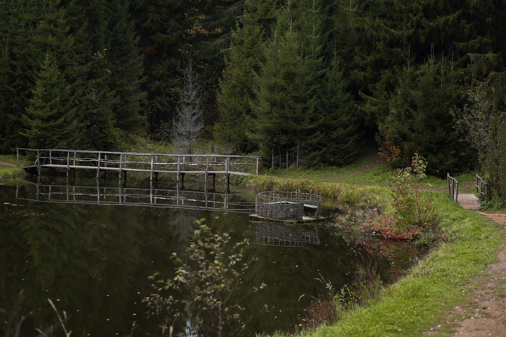 Photograph by Евгения Каталевская