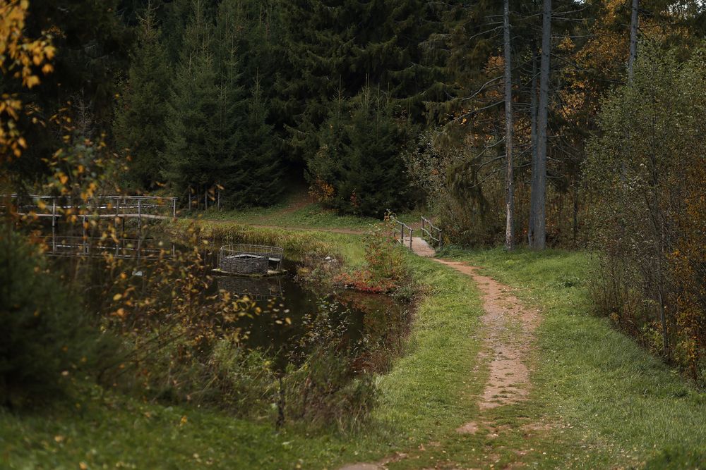 Photograph by Евгения Каталевская