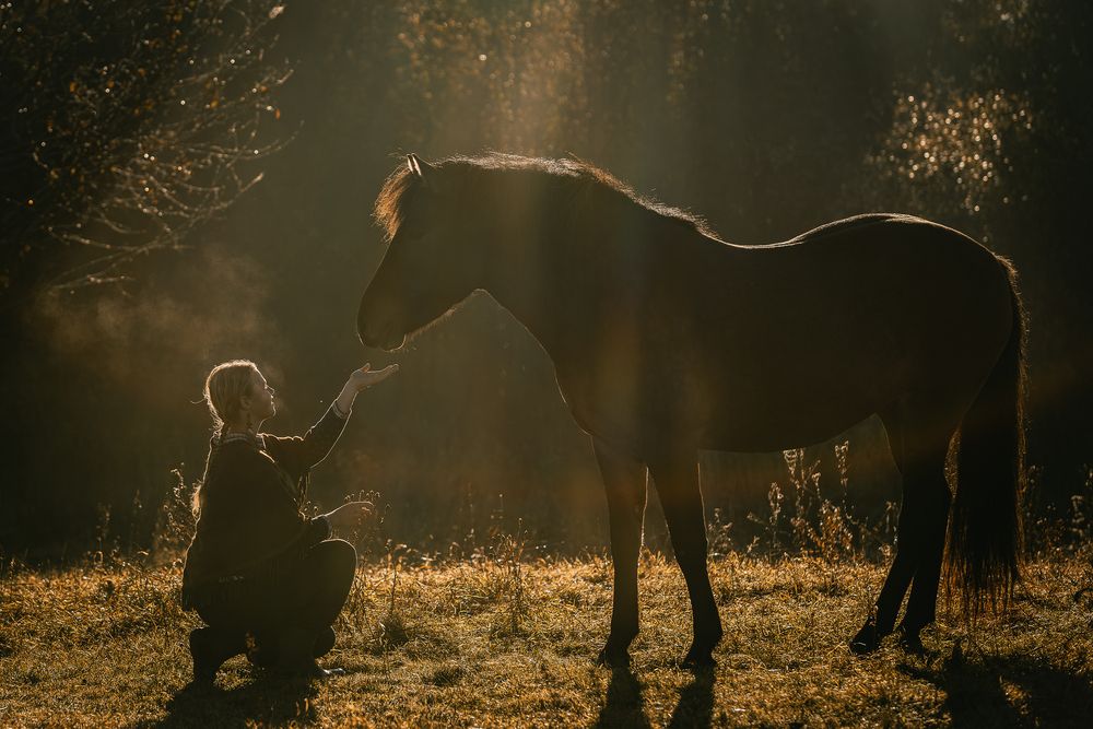 Photograph by Gubina Anastasia