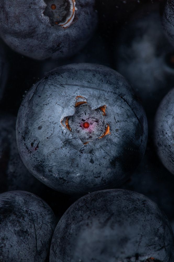 Photograph by Ostojic Marko