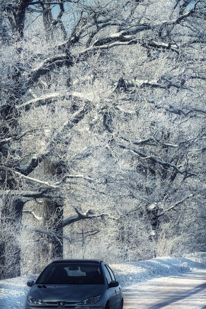 Photograph by Анна Зорька