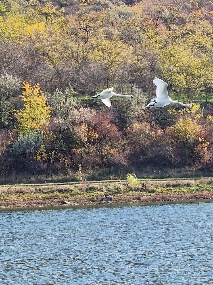 Photograph by Ирина Рудь