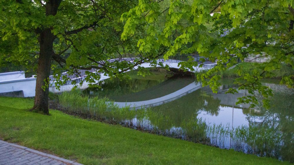 Photograph by Роман Чернышов