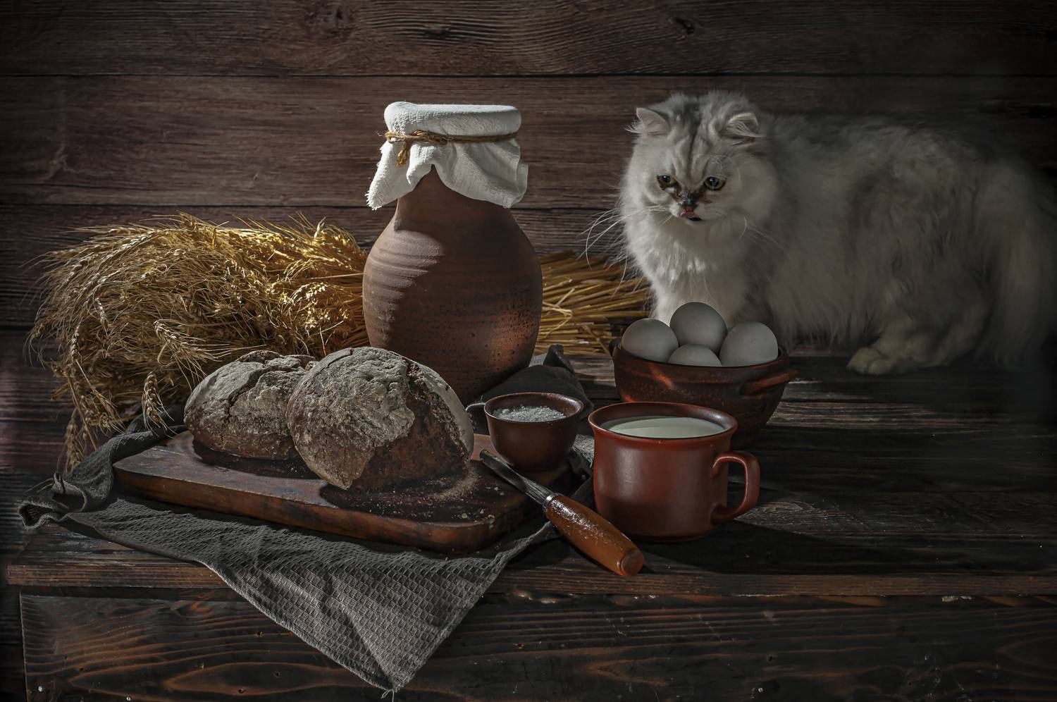 Кот пришёл в натюрморт