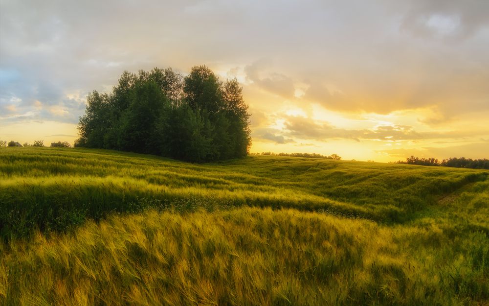 Photograph by Сергей Дишук