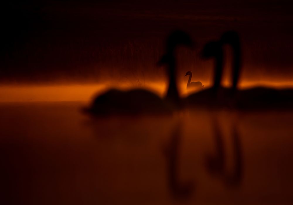Photograph by Szymon Bartołd