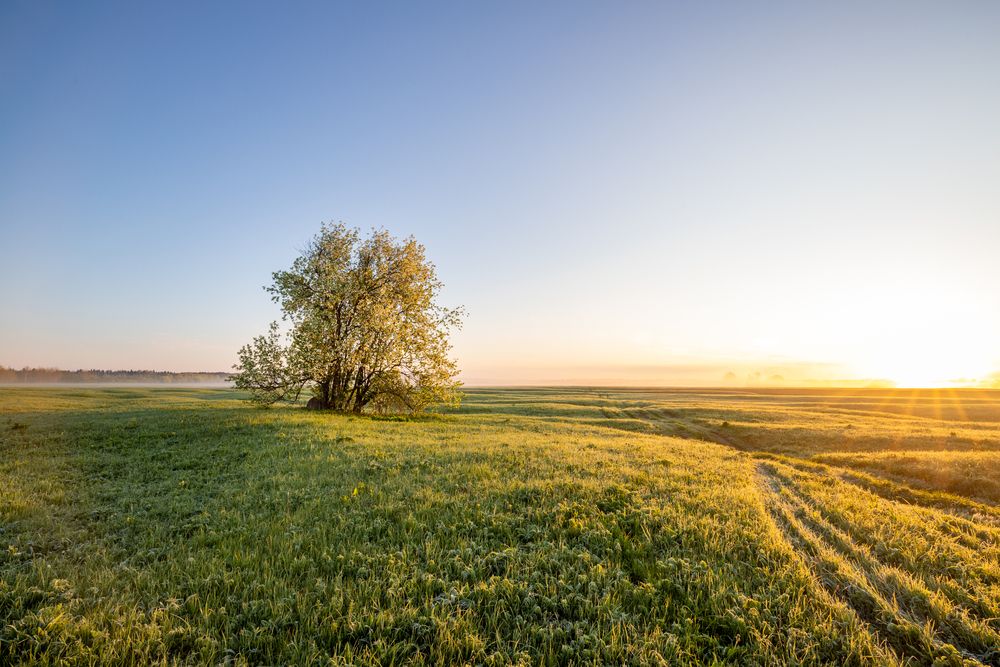Photograph by Старцев Андрей