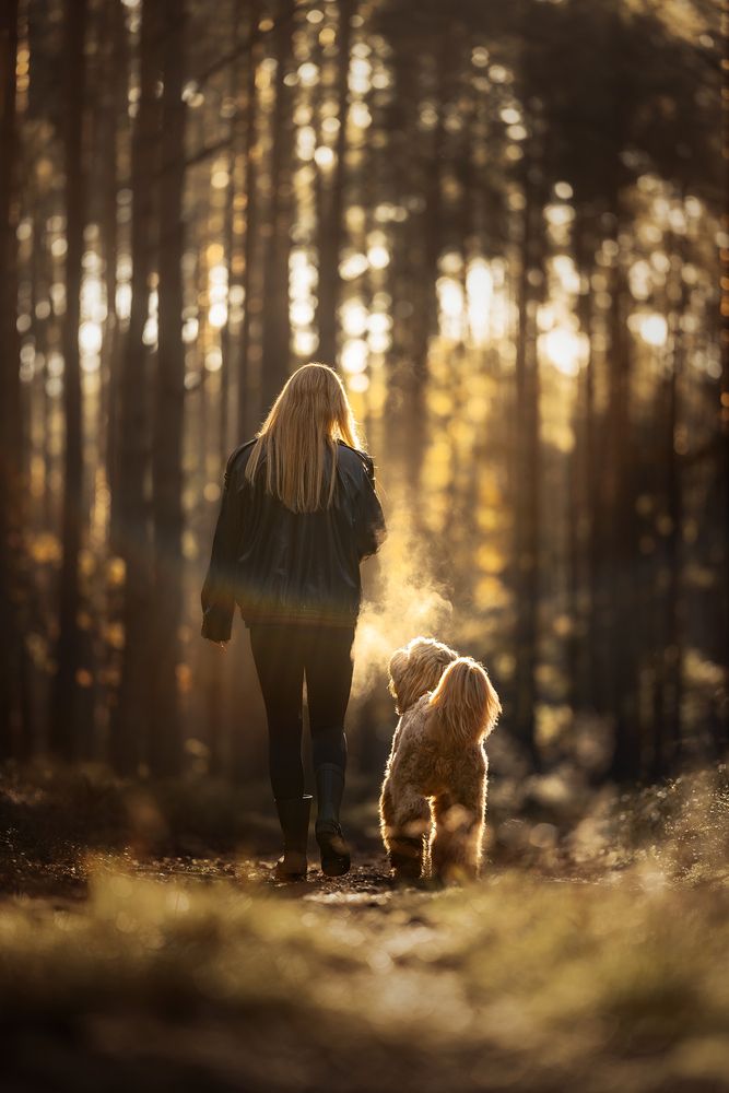 Photograph by Frozen Motion