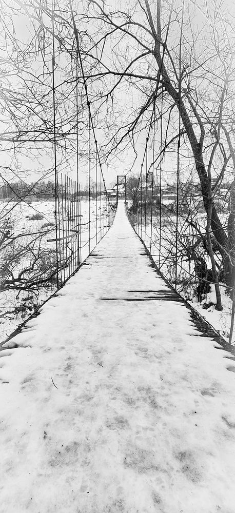 Photograph by Дина Темницкая