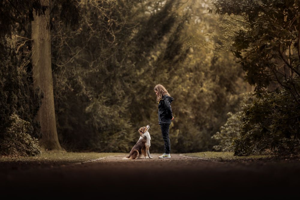 Photograph by Frozen Motion