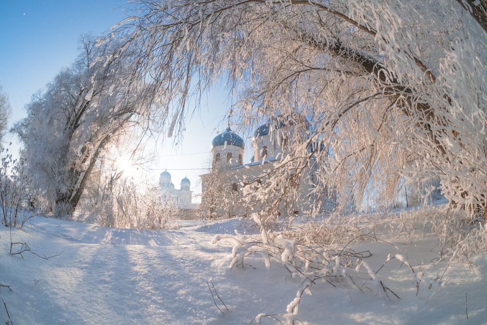 Фотография автора Третьякова Анастасия