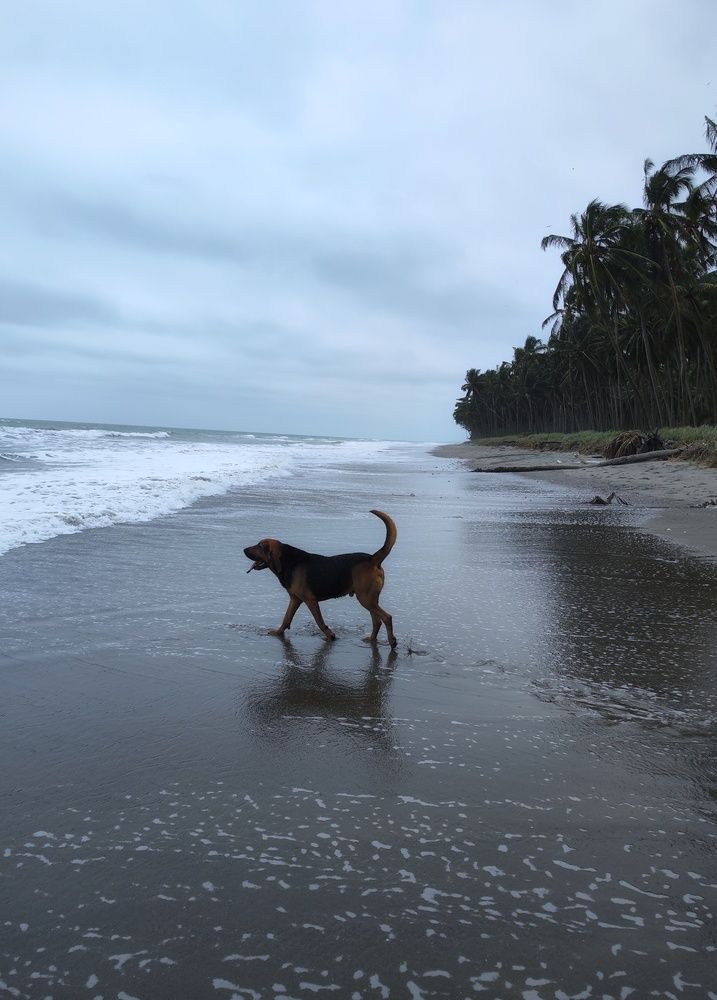 Photograph by Natalia Sopocko