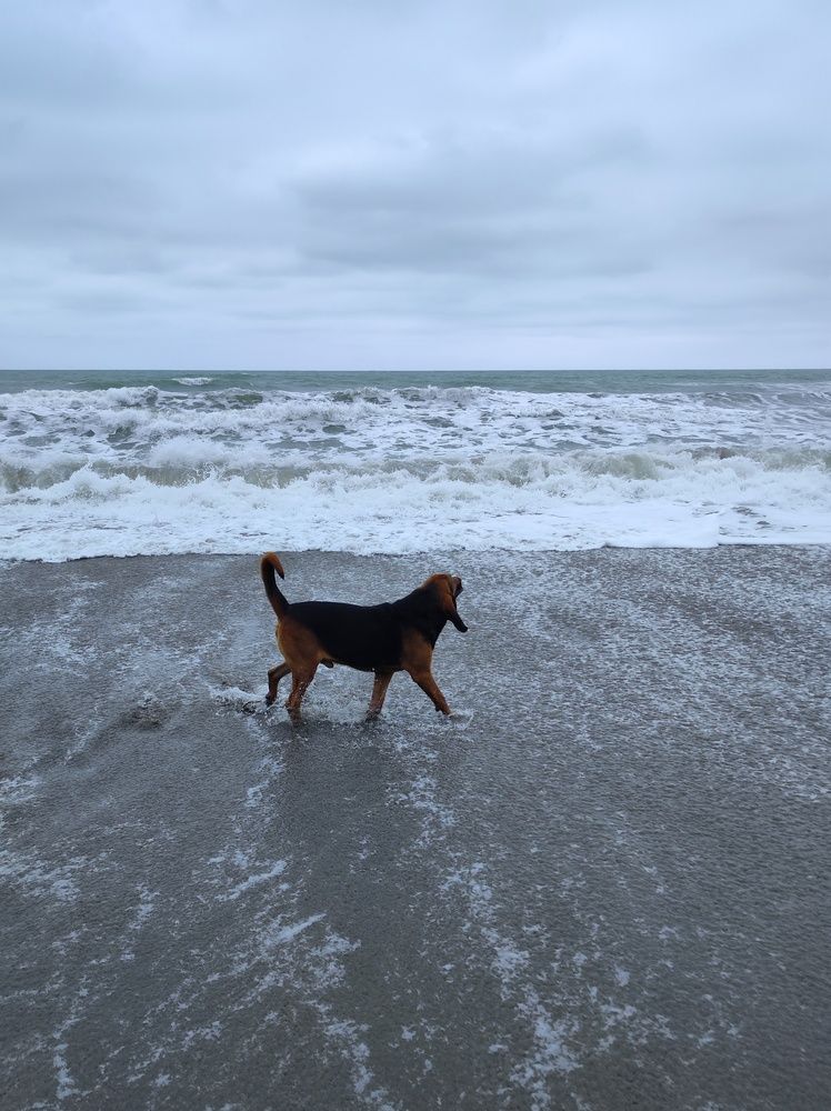 Photograph by Natalia Sopocko