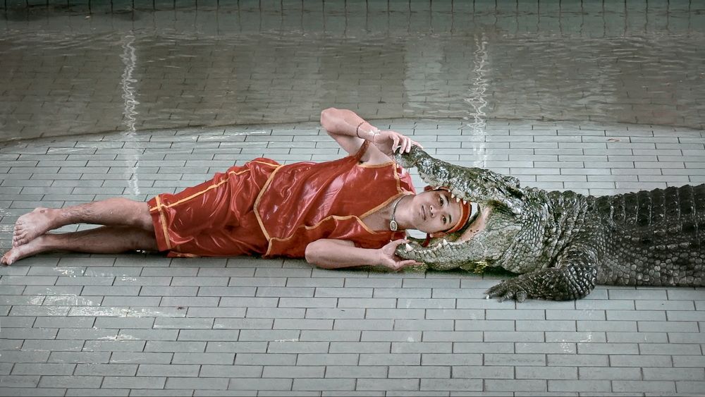 Фотография автора Анатолий Дауров