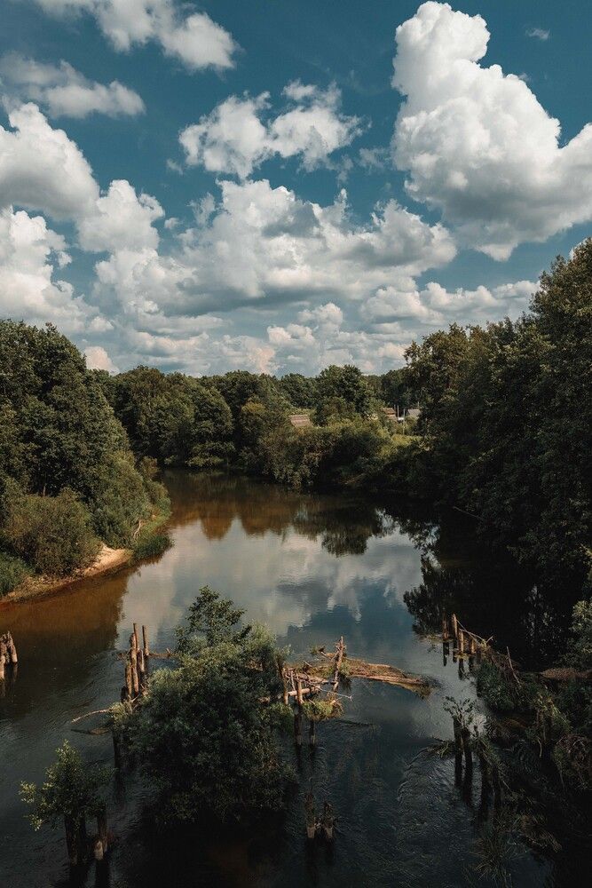 Фотография автора Владимир Васильев