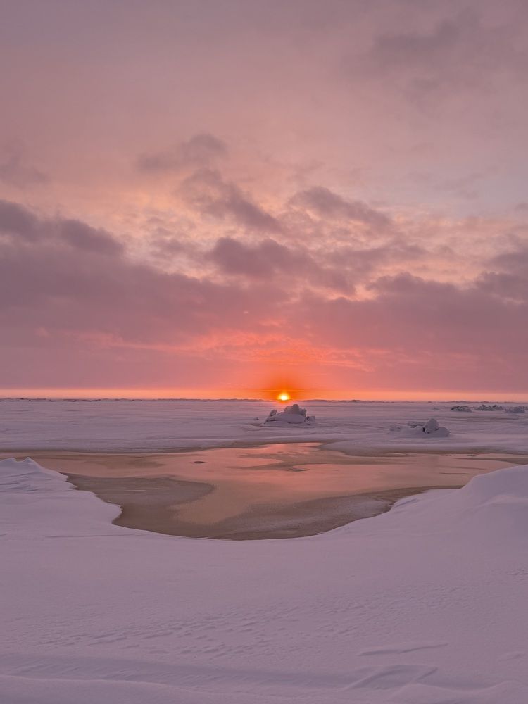 Photograph by Бондаренко Светлана