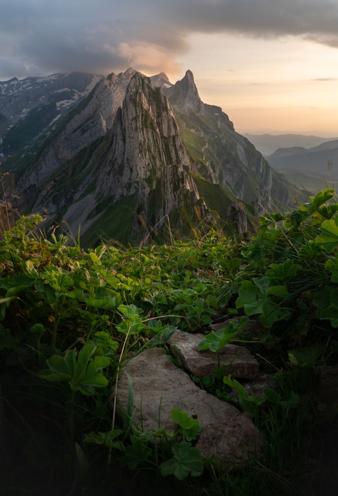 Photograph by Jack Instedt