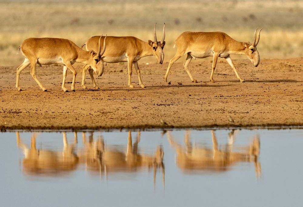 Photograph by Владимир Цветов