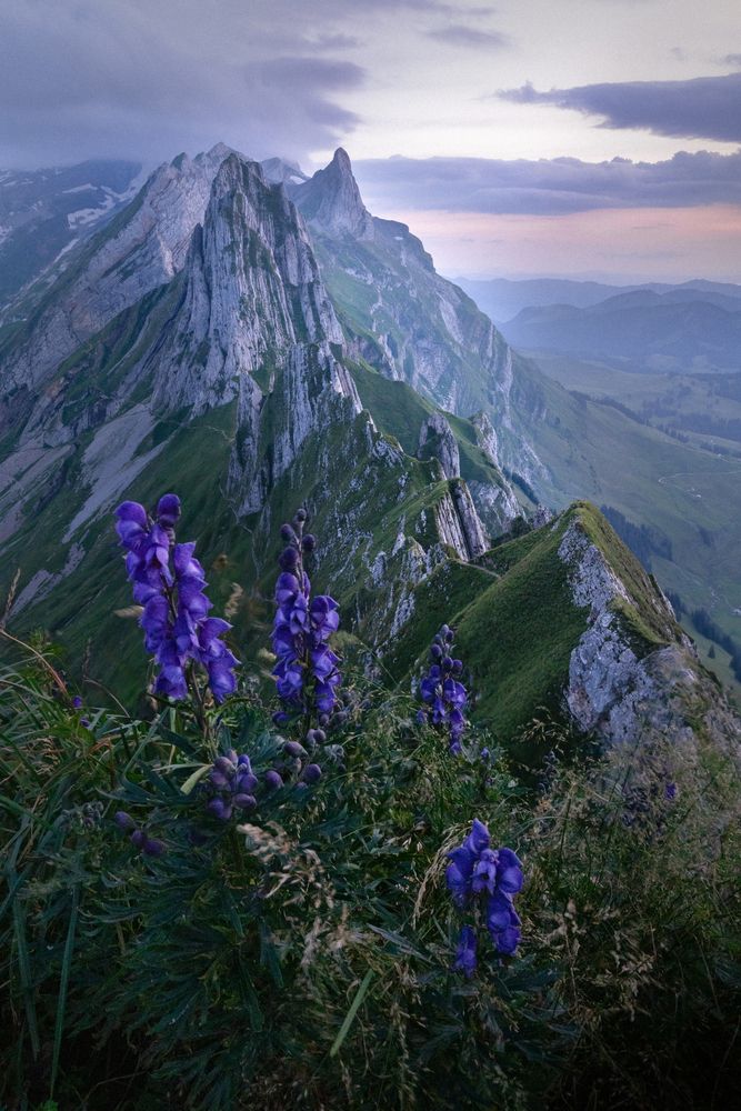 Photograph by Jack Instedt