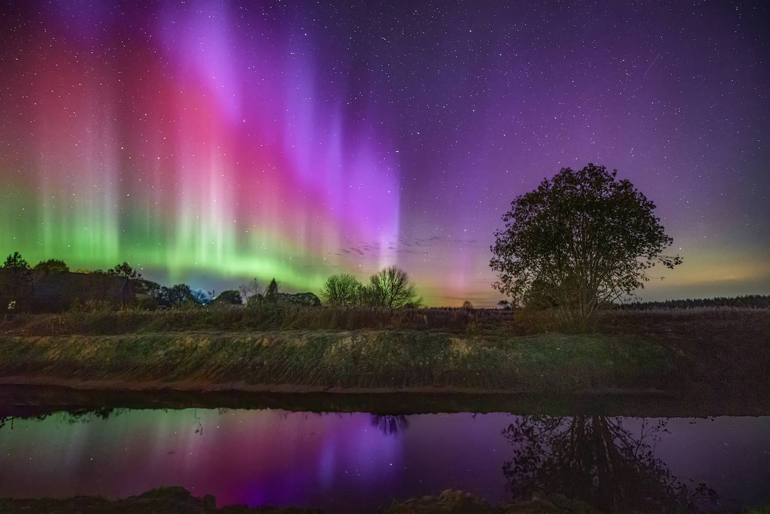 Фотография #13328173