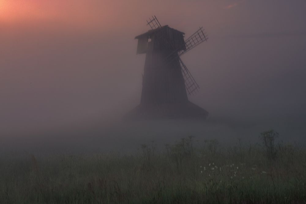 Фотография автора Елена Гусева