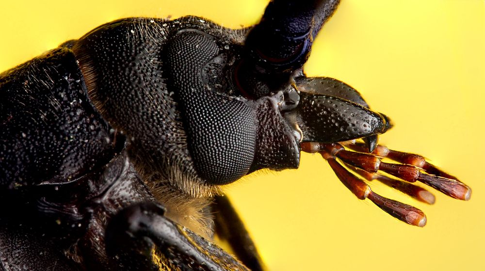 Photograph by Lubov Maslova