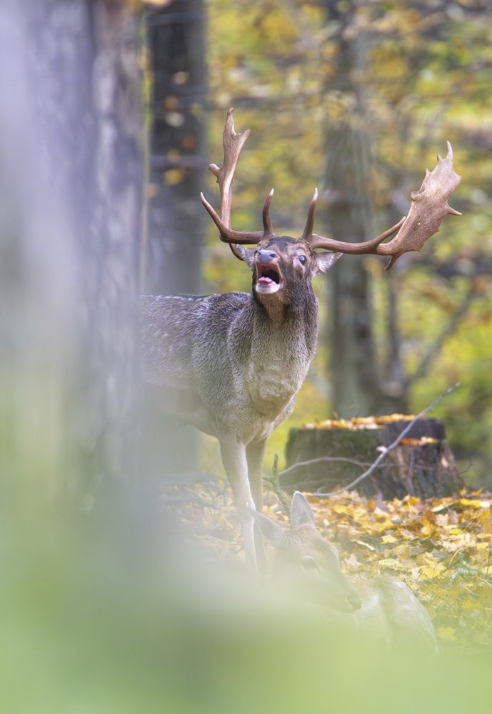 Photograph by Szymon Bartołd