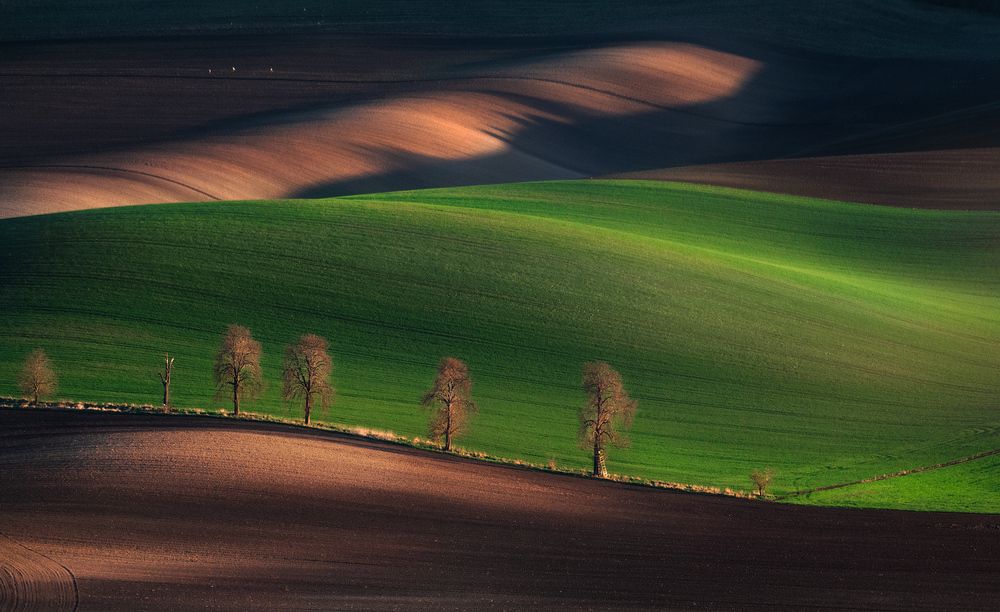 Photograph by Karádi Zita
