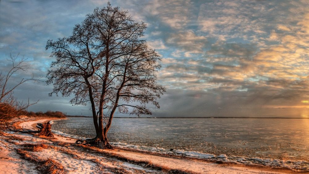 Photograph by Сергей Григорьев