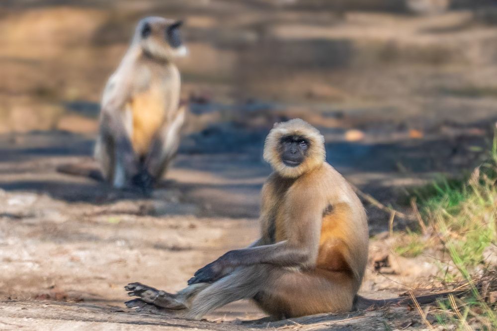 Photograph by Ayan Bhattacharya