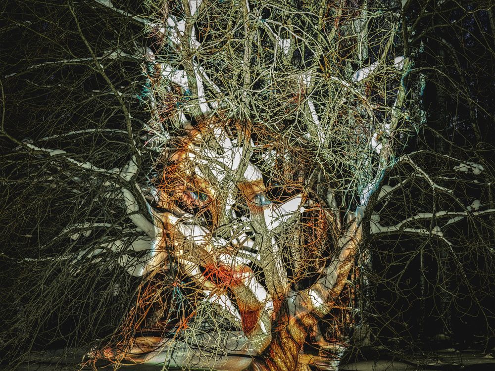 Photograph by Вадим Егоров