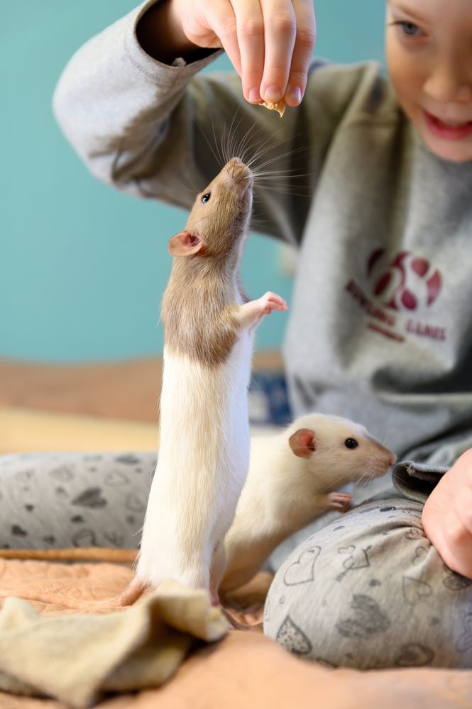 Фотография автора Станислав Левандовский