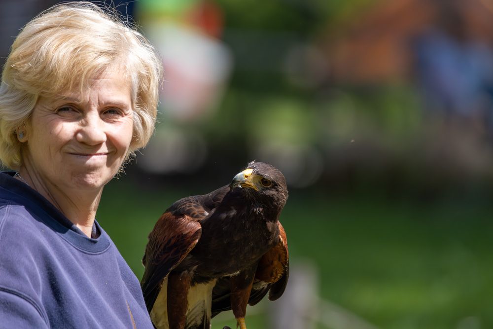 Фотография автора Abhishek