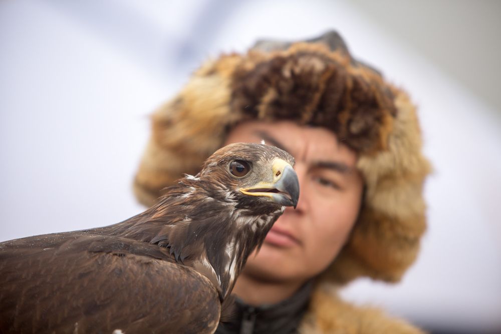 Фотография автора Юрий Литвинов