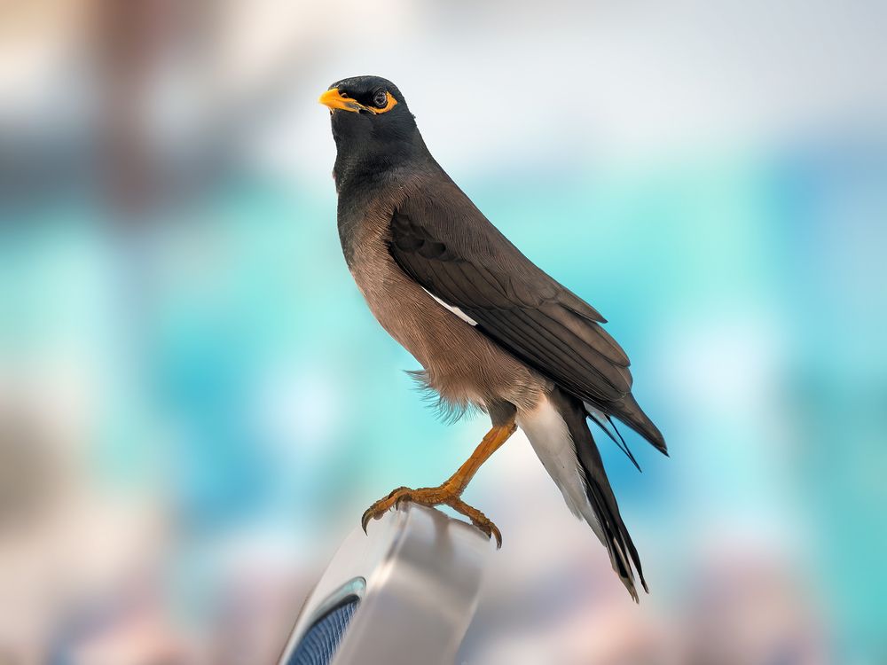 Photograph by Юрий Михайлович Головкин
