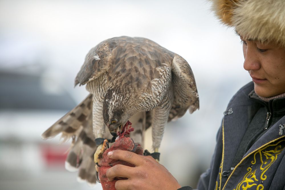 Фотография автора Юрий Литвинов