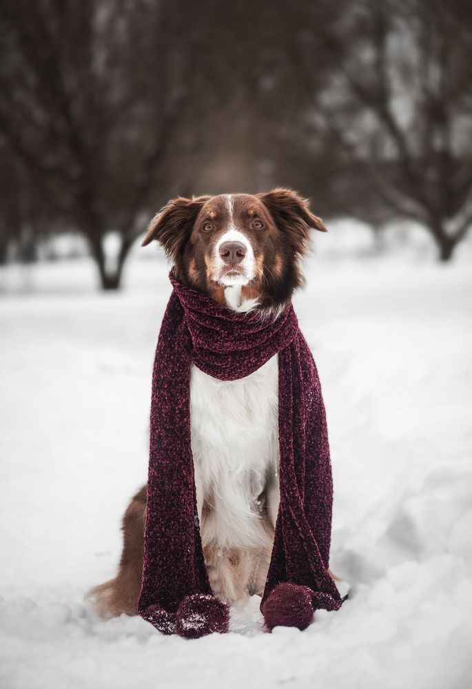 Photograph by Варя Тихонова